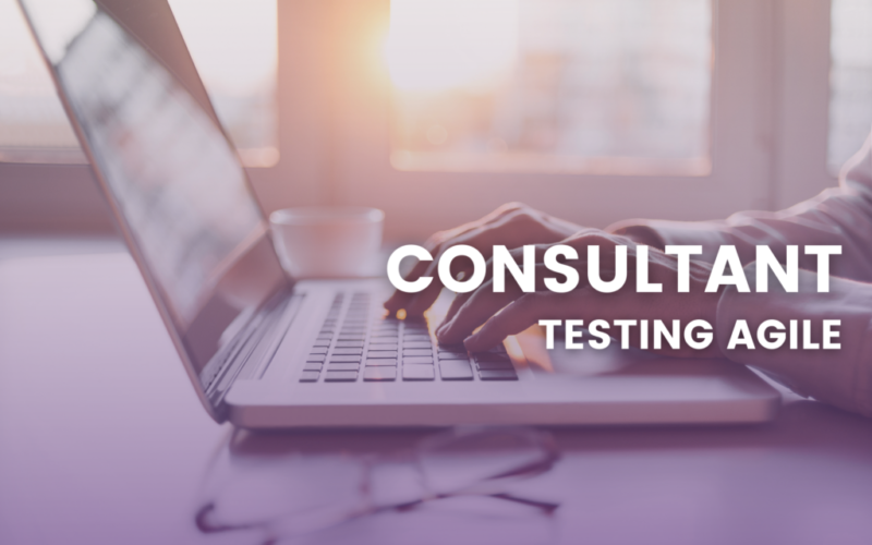 Consultant Testing Agile